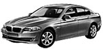 BMW F10 C0303 Fault Code